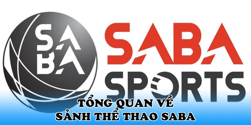 Sơ lược về đẳng cấp sảnh saba sports