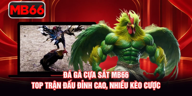 Đá Gà Cựa Sắt MB66 – Top Trận Đấu Đỉnh Cao, Nhiều Kèo Cược